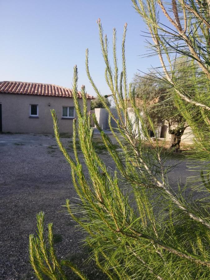 Maison Du Causse Magalas Buitenkant foto
